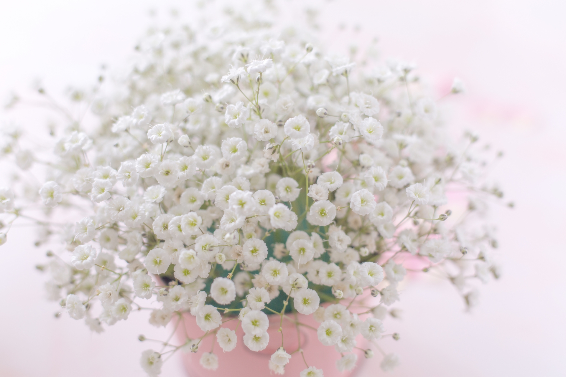 7月7日は七夕ですが かすみ草の日 でもあります 名古屋中川区フラワーアレンジメントサロン Feerique フェリーク アフターブーケ ドライフラワー 資格