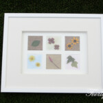 シート密封B5-6ブロック台紙