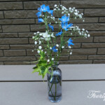 エバーアレンジメント「アイビー」