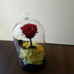 ドームアレンジ M様