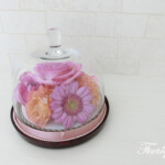 コンポートドーム