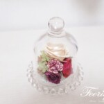 ミニコンポートドーム N.Nさんの作品